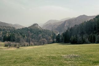 A meadow with hills covered in forrest in the background, larger mountains loom in the background
