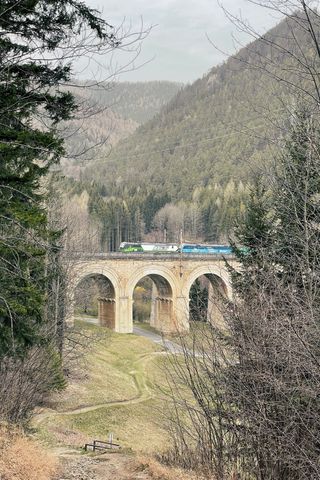 View through a gap in the trees to a viaduct which has a freight train currently travelling over it, in the background hills covered trees