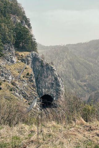 Train tracks leading into a tunnel on a very step mountain side, in the background forest-covered hills