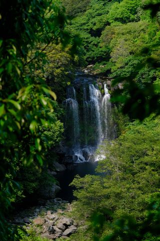 A waterfall cascades into a dark pool, surrounded by lush green foliage and rocks, with more trees visible in the background.
