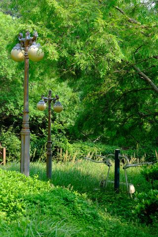 Two ornate streetlights and outdoor exercise equipment are nestled among lush green trees and tall grass in a park.