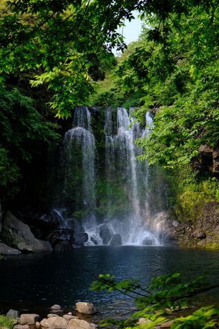A waterfall cascades into a dark pool surrounded by lush green trees and rocks.