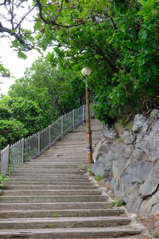 A long outdoor staircase with a metal railing and a lamppost ascends a hill, surrounded by green trees and a rock wall.