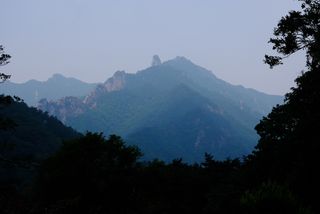 Silhouetted mountains with jagged peaks and lush green forests are visible against a light blue, hazy sky, framed by dark trees in the foreground.