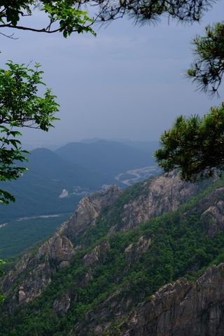 A dramatic mountain landscape with steep, rocky slopes covered in green foliage, a winding river in the valley below, and distant hazy mountains, framed by tree branches in the foreground.