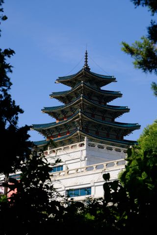 A multi-tiered traditional Korean pagoda with ornate roofs, framed by dark green foliage against a clear blue sky.
