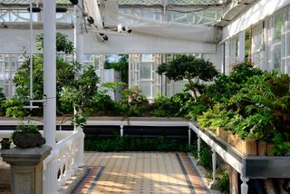 The interior of a bright greenhouse filled with various green plants, featuring a tiled pathway and white railings.