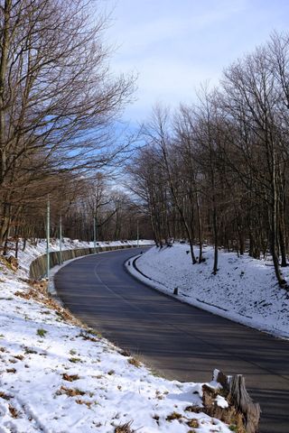 An empty street, there is an embarkment on the left and the ride side and there are trees and on the left side also some street lights; the street curves to the right