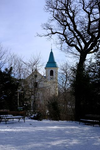 Church partly hidden by trees and a snowy ground and some benches and bushes