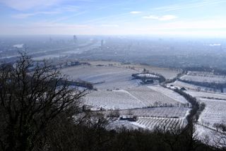 View from top of the mountain on the vineyards, the Danube and Vienna; it is a beautiful, sunny day and the vineyards are still covered in snow